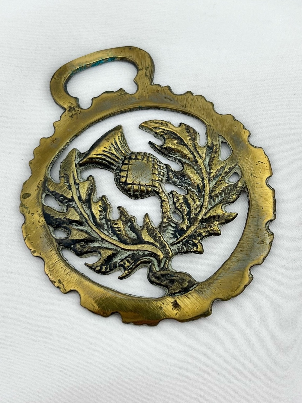 Brass Horse Medallion Vintage English Scottish Thistle Flower Parade Harness